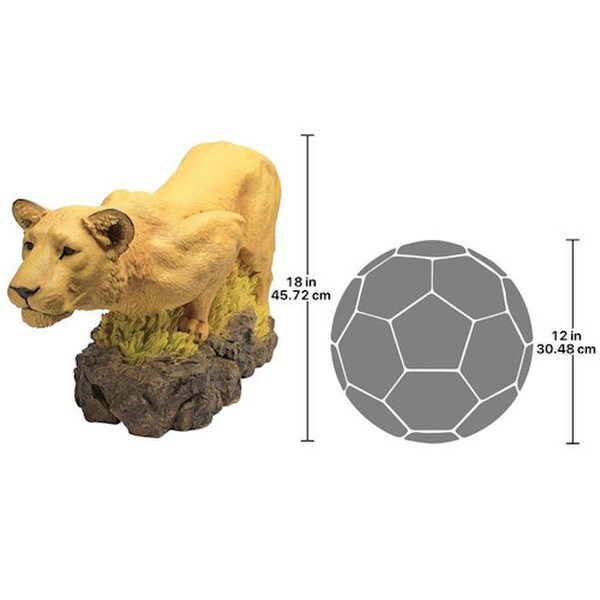 Lioness on the Prowl Statue stunning realism chiseled muscle resin statuary